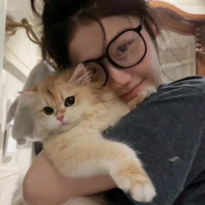 剧场版魔法少女小圆 新篇 叛逆的故事